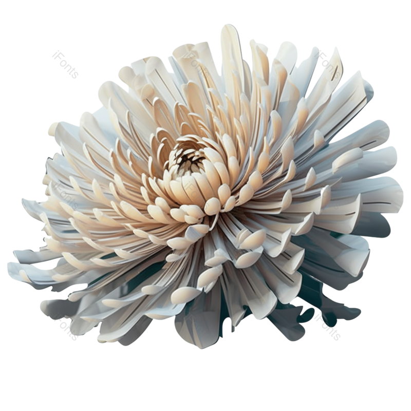 白色背景图片,元素,PNG,免抠素材